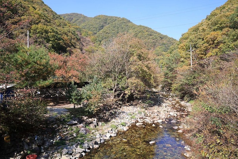 귀촌 관광농원 시설 사진 11