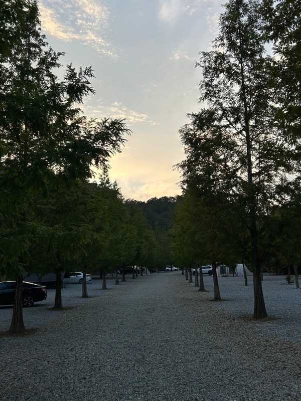 문경 캠핑 공기좋고 깨끗한 '리우캠핑장' 뷰 좋은 A3 사이트 후기