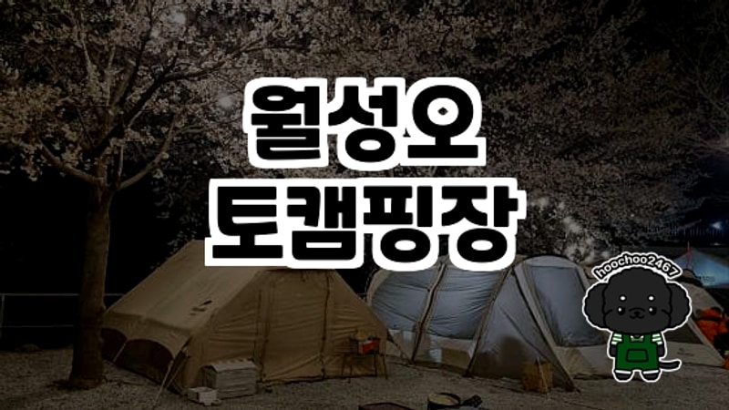 경남 거창 월성오토캠핑장, 여름 피크닉의 최적지!