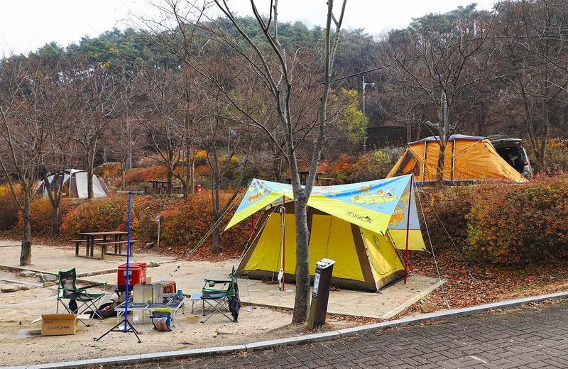 구룡자동차야영장(치악산국립공원) 시설 사진 6