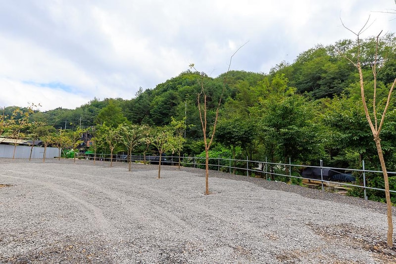 군위 솔밭야영장 시설 사진 4