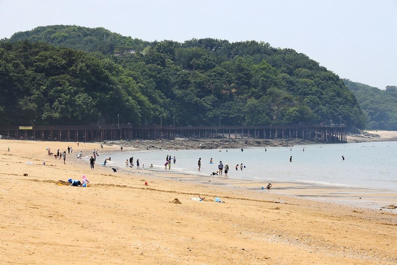 십리포해수욕장 야영장 시설 사진 13