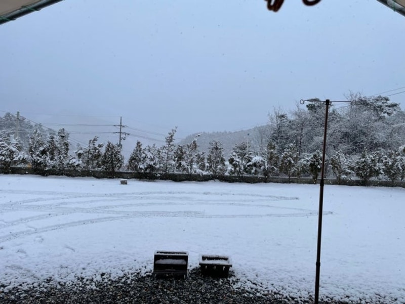 새말캠핑장C 사이트 후기, 애견동반 캠핑장, 강원도 뷰좋은...