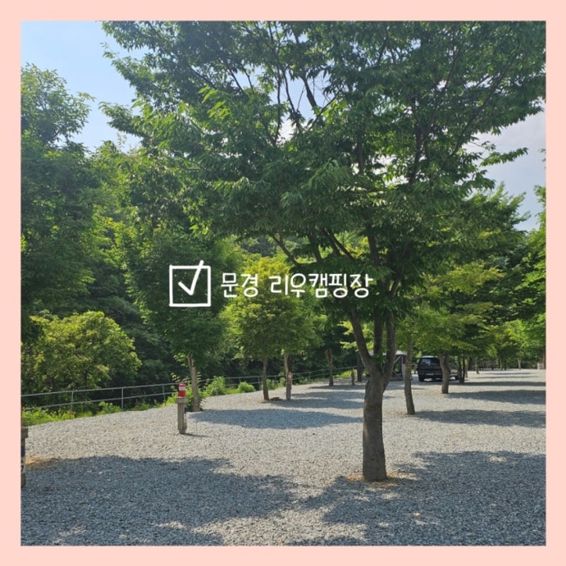 애견동반 가능한 깨끗하고 깔끔한 문경 리우캠핑장 A3...