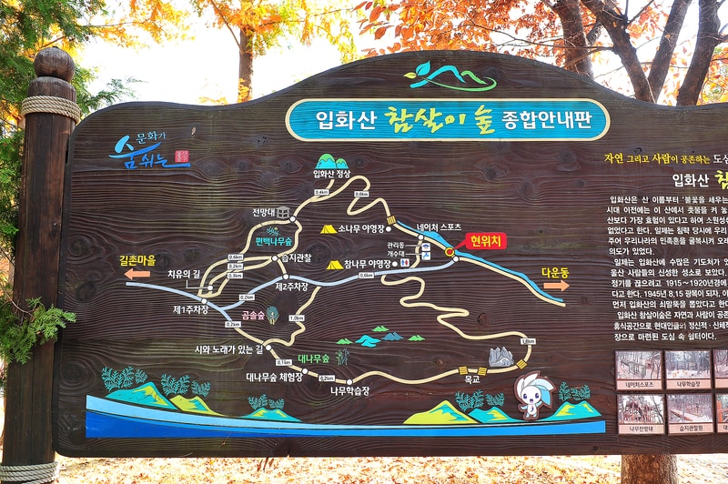 입화산참살이숲야영장 배치도 1