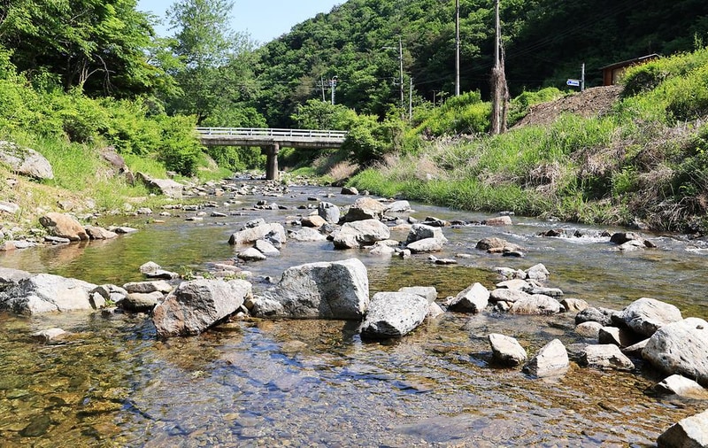 숲에서 놀자 시설 사진 13