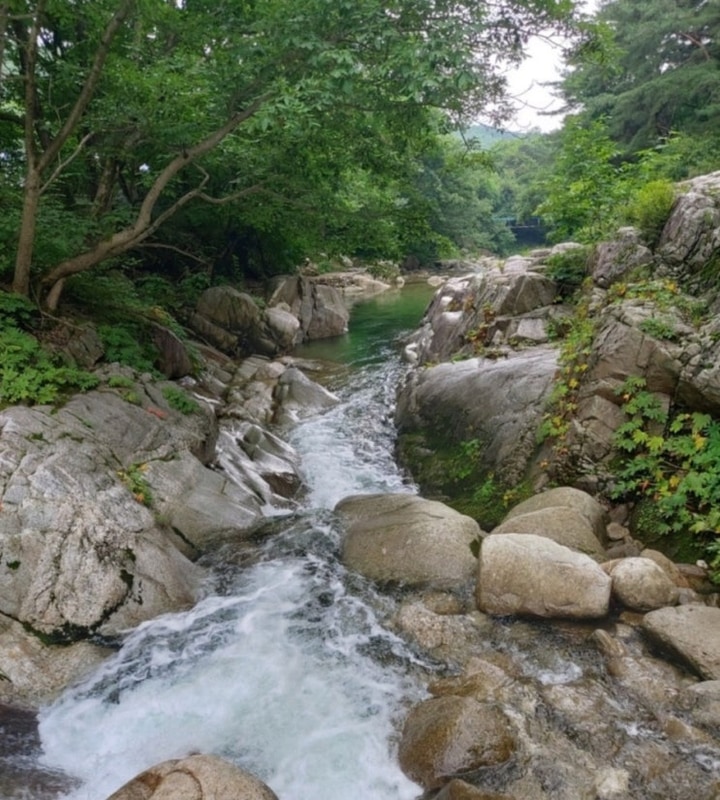 [포천] 자연의 품에서 쉬어가는 시간, 숲속도마치계곡캠핑장”...