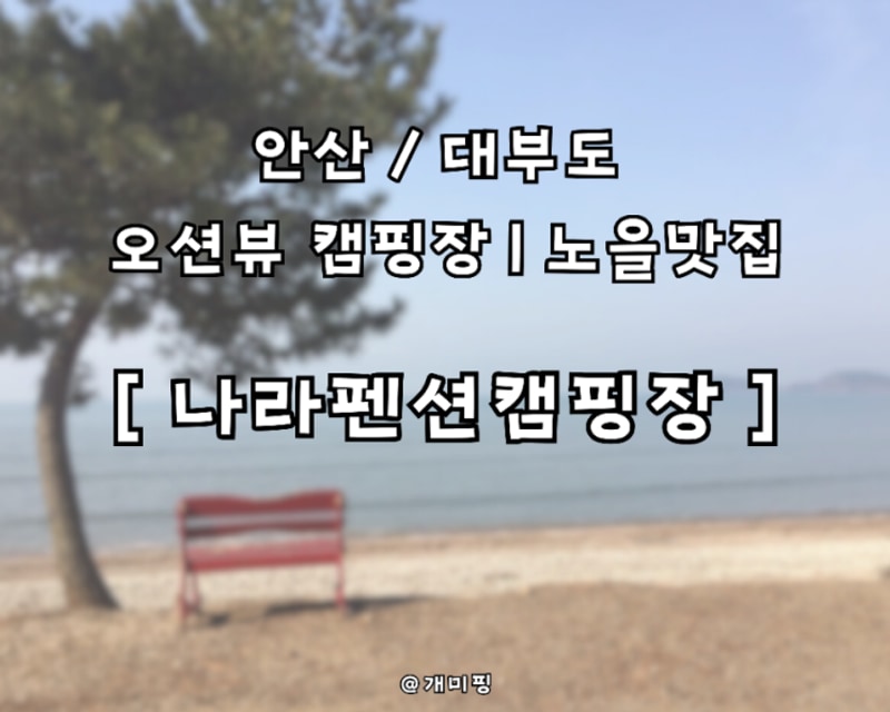[나라펜션캠핑장] 안산/대부도 연예인 다녀간 캠핑장...