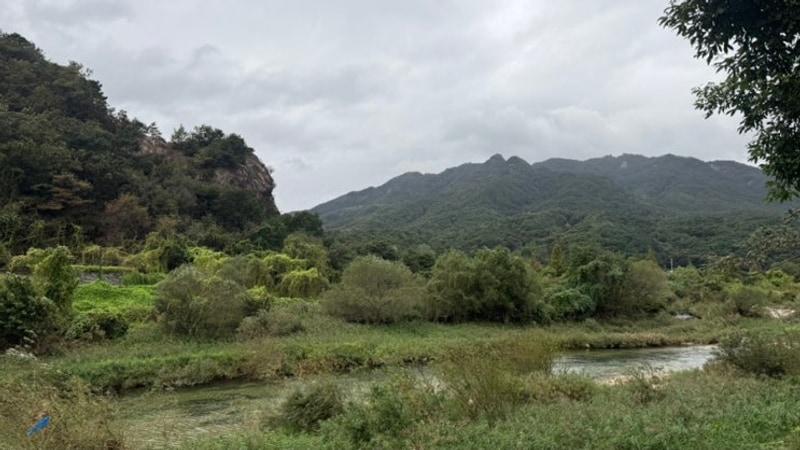 포천 카라반 캠핑장 추천! 파인트리 글램핑