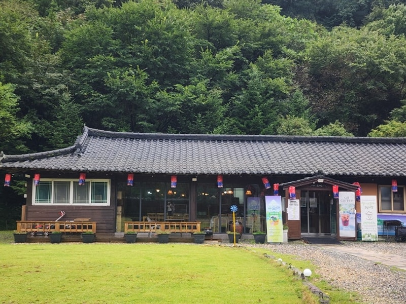 횡성 고라데이마을 숲슐랭 캠프 참여 후기