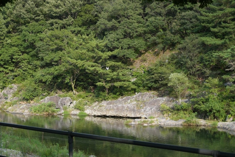 부산 경남 계곡 캠핑장, 밀양 캠핑장 추천 알프스 캠핑장