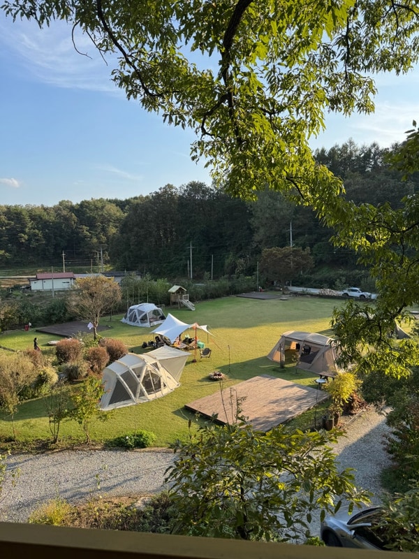 [예천] 넓은 잔디광장과 숲속 분위기가 다 있는 새움정 캠핑장...