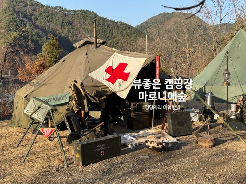 충북 옥천 뷰좋은 별 볼수 있는 캠핑장 추천 마로니에숲...