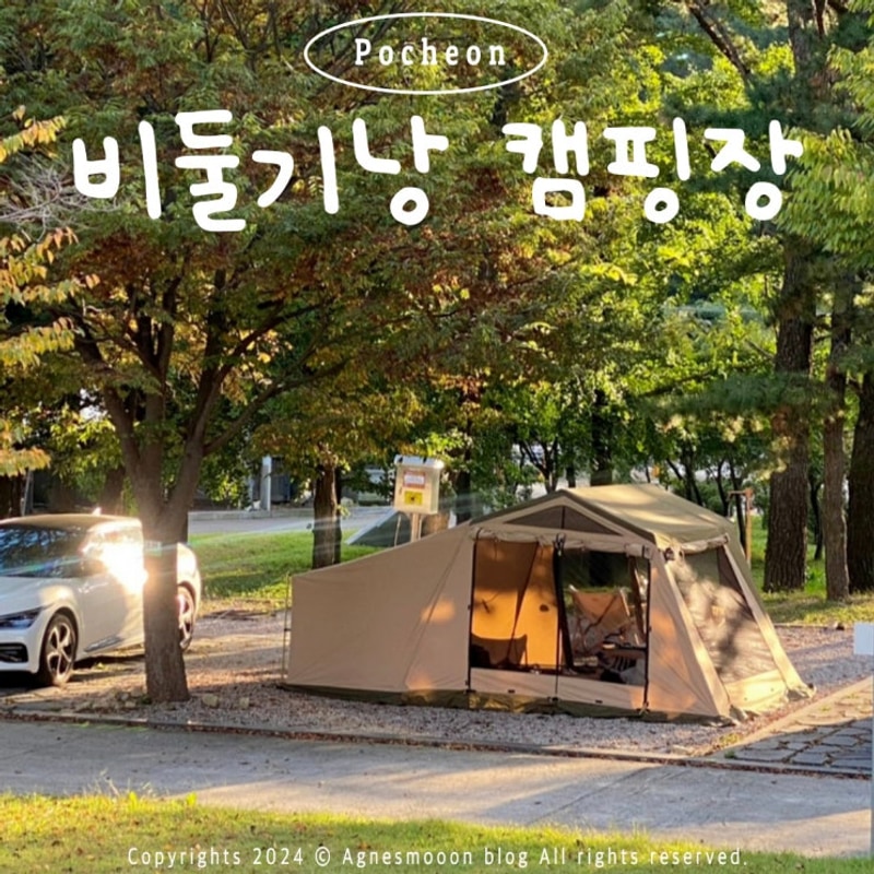 서울근교 가성비 캠핑장 비둘기낭 포천 애견동반 캠핑장