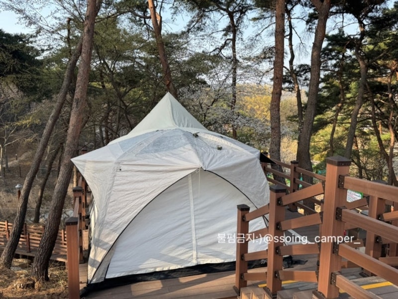 [캠핑] #53_남원 교룡공원숲속야영장