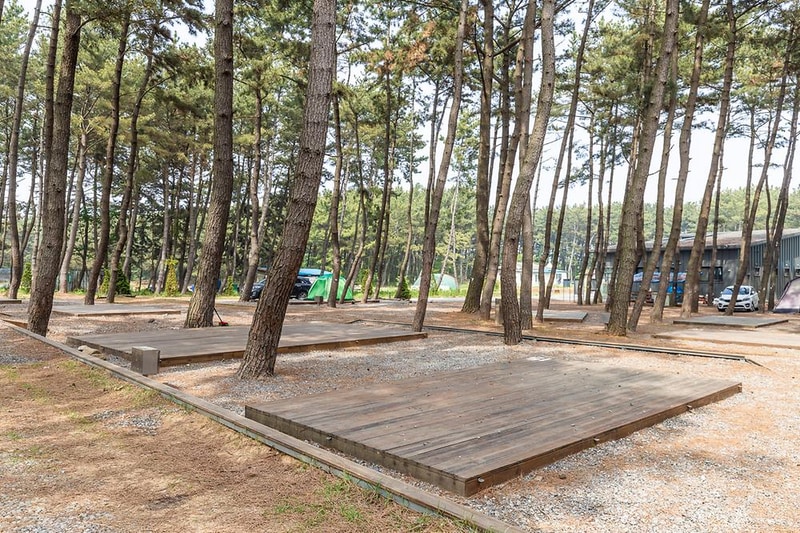 장항오토캠핑장 시설 사진 3