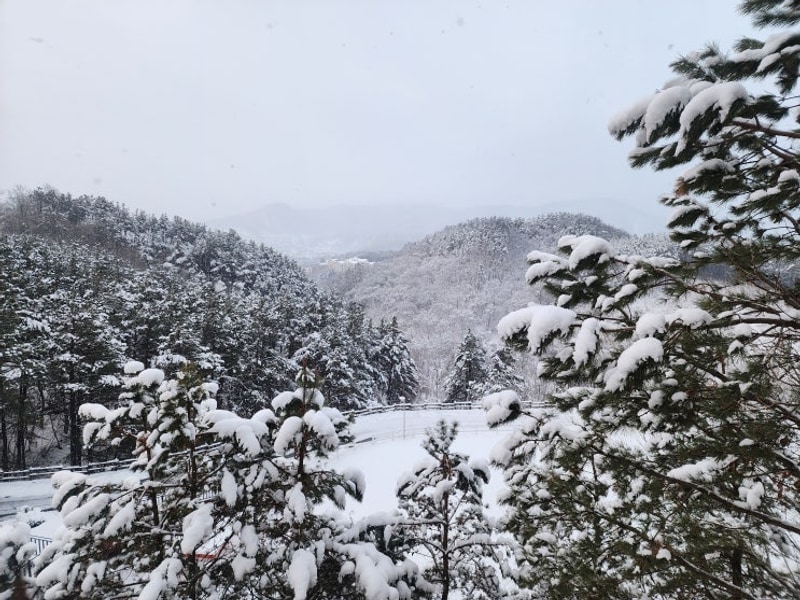 개별시설 프라이빗 끝판왕! 양평 골든쌔들 캠핑장 7번 설중캠핑