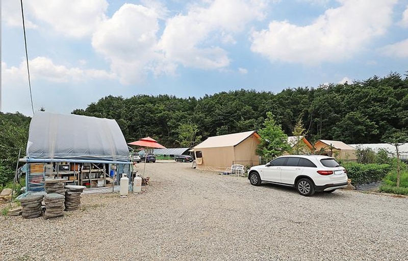 고성 탑 글램핑 농원 대표 사진