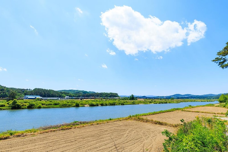 금강뷰 시설 사진 14