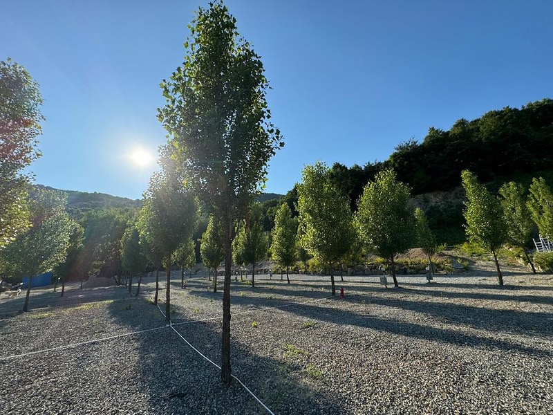 엘모로캠핑 시설 사진 3