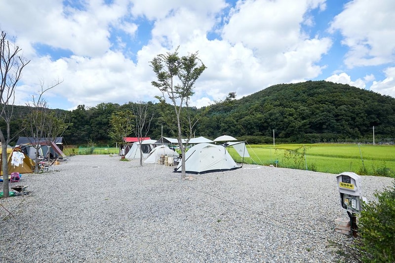 풀내음캠핑장 시설 사진 15