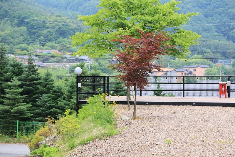 유명산 계곡 캠핑장 시설 사진 4