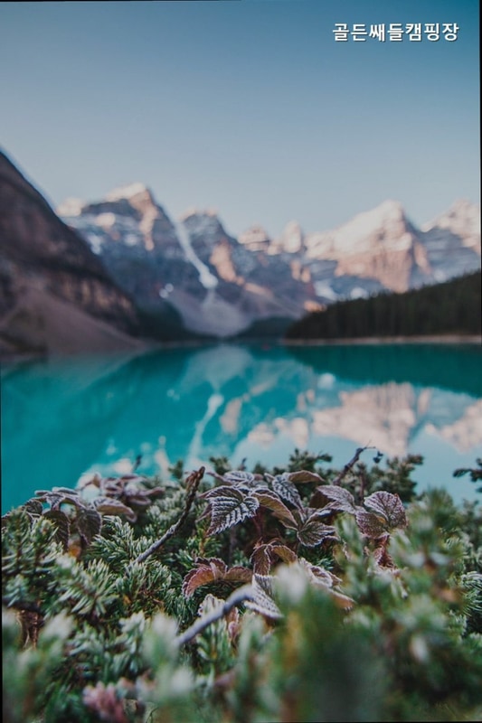 양평에 있는 골든쌔들캠핑장 추천하는 이유는?