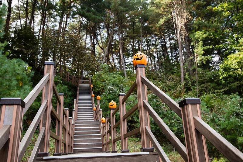 동두천 자연휴양림 시설 사진 11