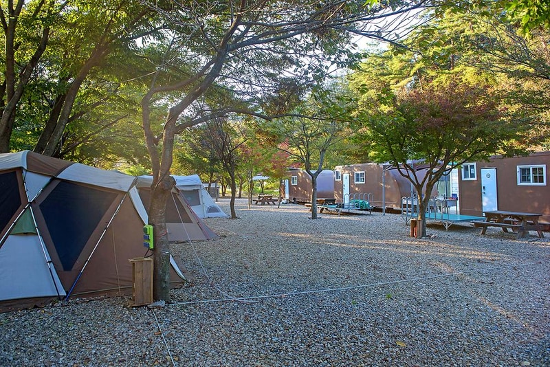 가족소풍캠핑장 시설 사진 12