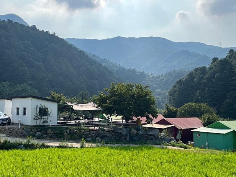 가평 캠프스테이 여름캠핑 프리미엄사이트 후기(방갈로앞 데크...