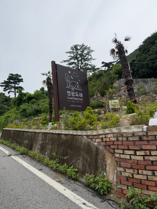 6월의 글램핑- 캠핑도래/밀양글램핑/대구근교글램핑