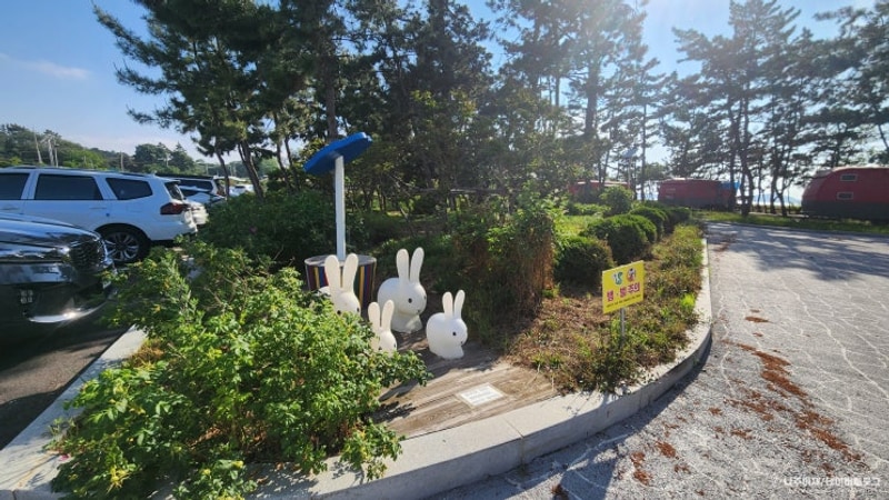 무안 노을길야영장(feat.낙지공원/톱머리해수욕장)