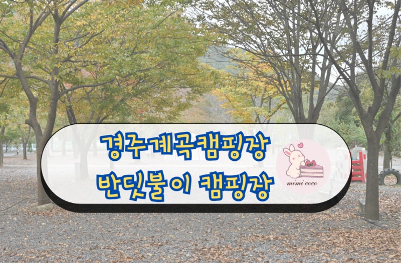 경주캠핑장 사계절이 아름다운 계곡이있는 반딧불이캠핑장