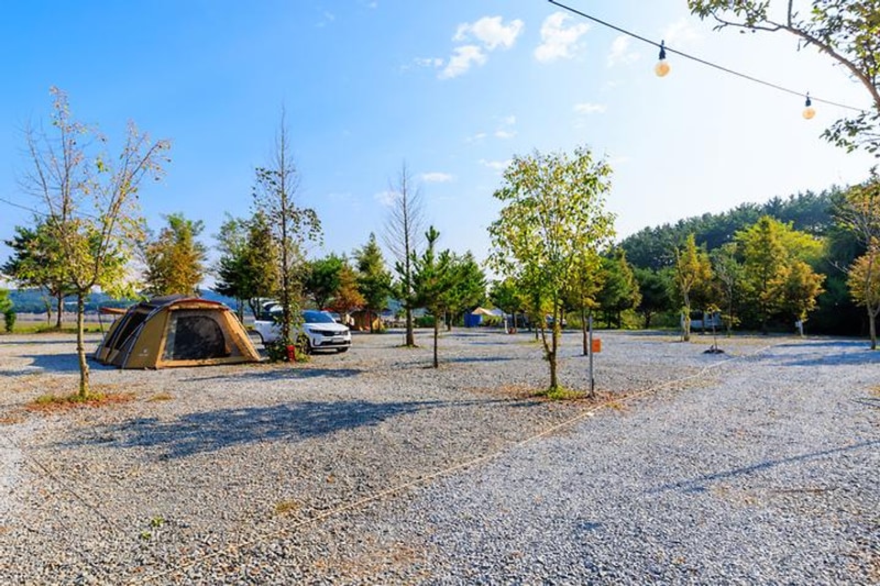 THE쉼오토캠핑장 대표 사진