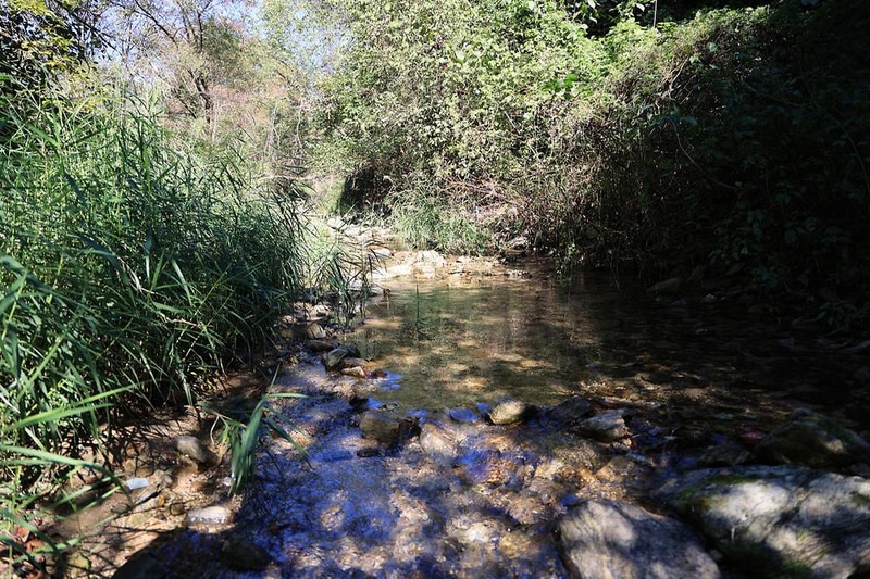 팔현 캠핑1 시설 사진 4