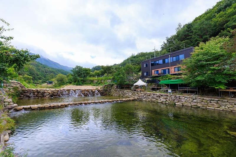 군위 솔밭야영장 대표 사진
