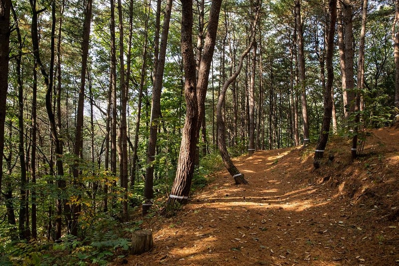 동두천 자연휴양림 시설 사진 9