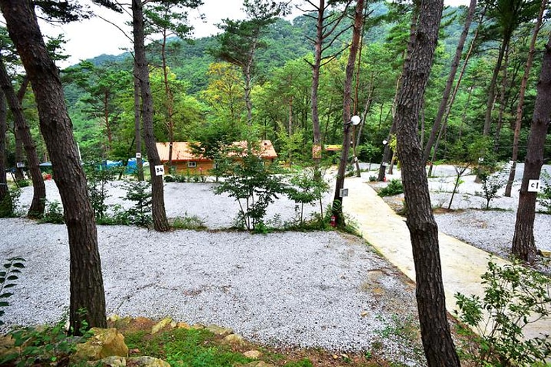 두레관광농원 아리솔캠핑장 대표 사진