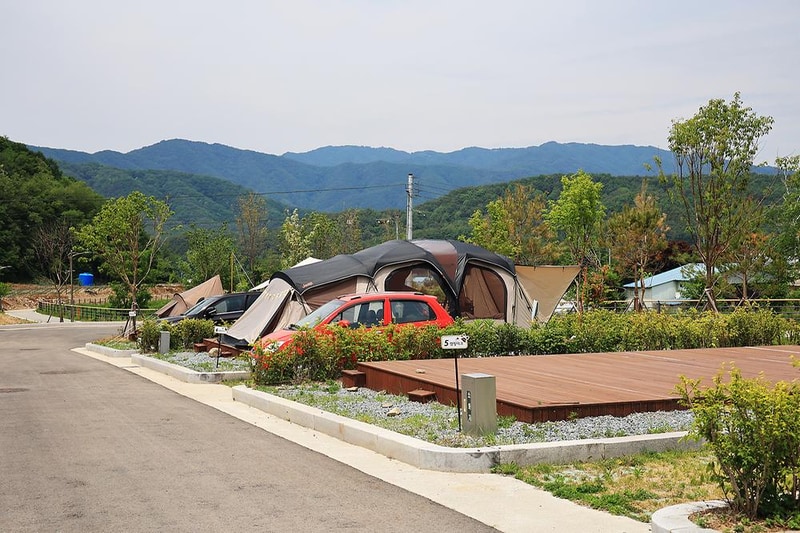 곰취향 가득한 팔랑골 캠핑장 시설 사진 16