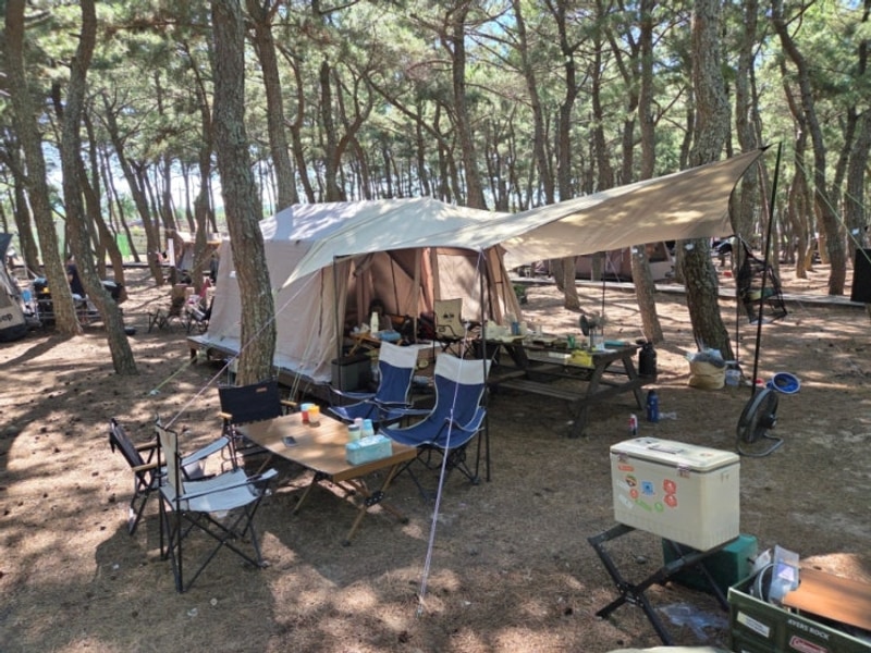 영덕 고래불국민야영장(7/29~30, A36 데크)