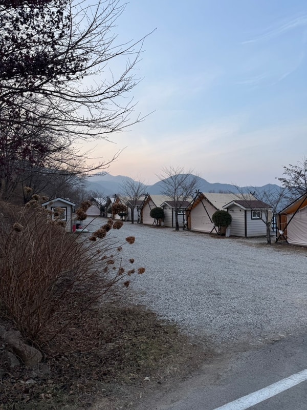 [경북/포항] 글램핑 및 캠핑장 추천'엘포리 글램핑'