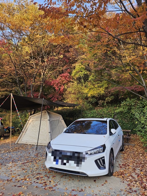 [중랑가족캠핑장] 서울에 있는 숲속 바베큐장에서 고기 먹고...