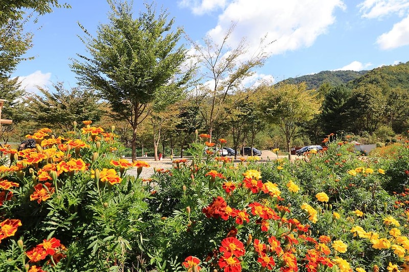 보랏빛오토캠핑장 시설 사진 10