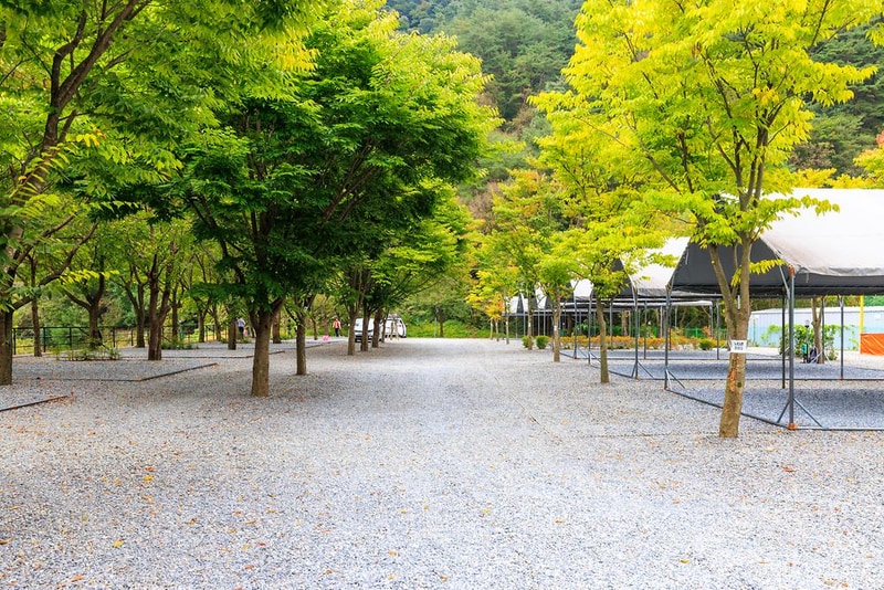 솔내음캠핑장 시설 사진 18