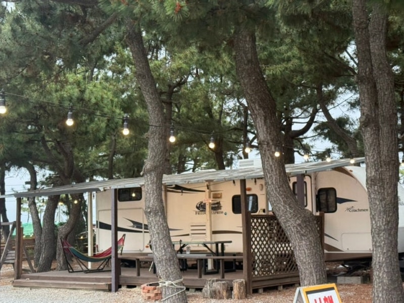 [양양]하조대캠핑카|배터지게먹고 얘기하며 소화다한날