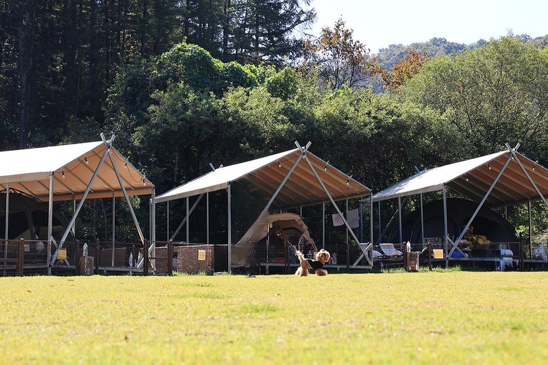 캠핑중DOG 시설 사진 6