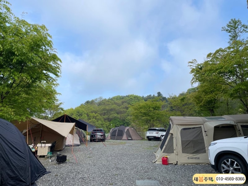 홍천 애견동반캠핑장 디데이 펜션&캠핑장에서 도킹텐트...