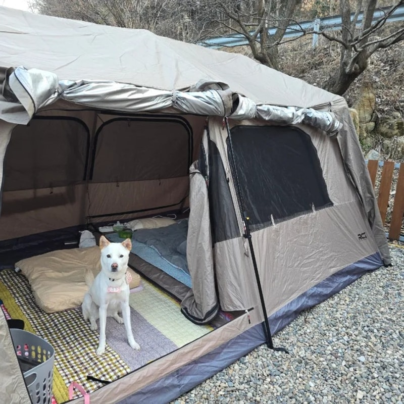 여주 캠핑주막 진돗개 동반으로 다녀왔어요