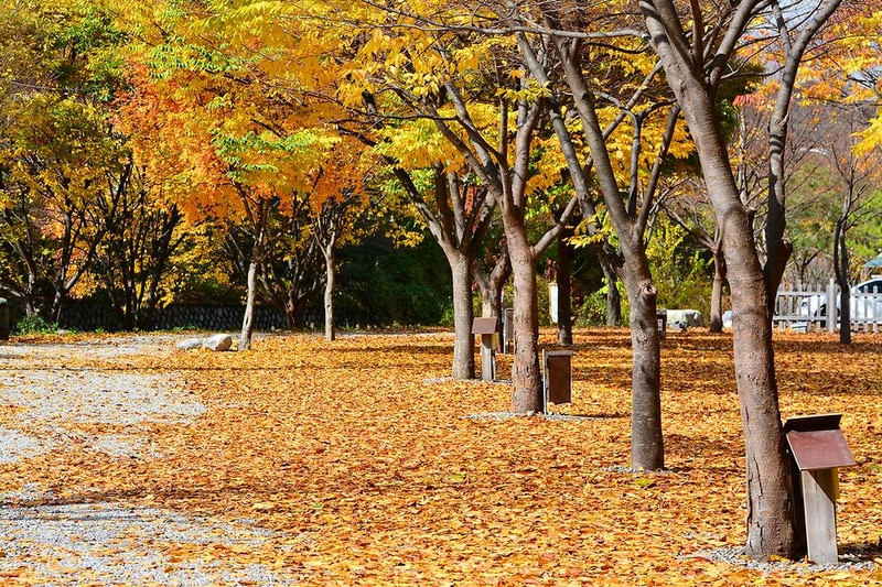 개울가오토캠핑장 시설 사진 5