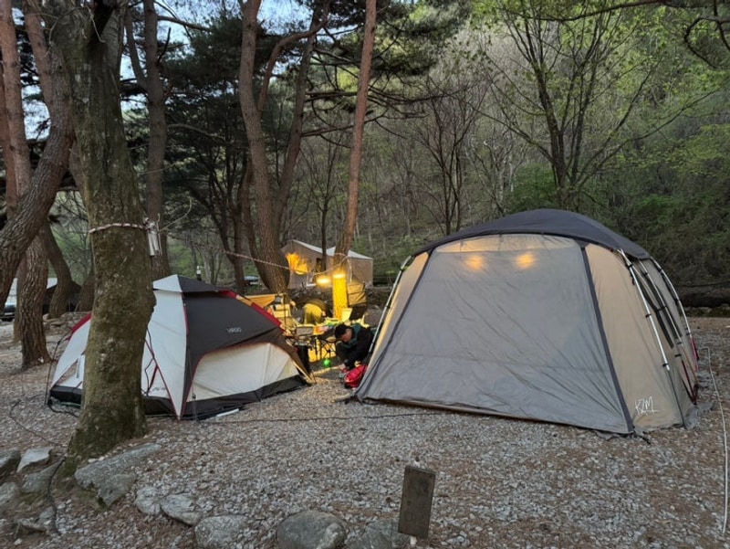 [2025년 캠핑] 아들셋과 가족캠핑 - feat. 가평명돈골캠핑장
